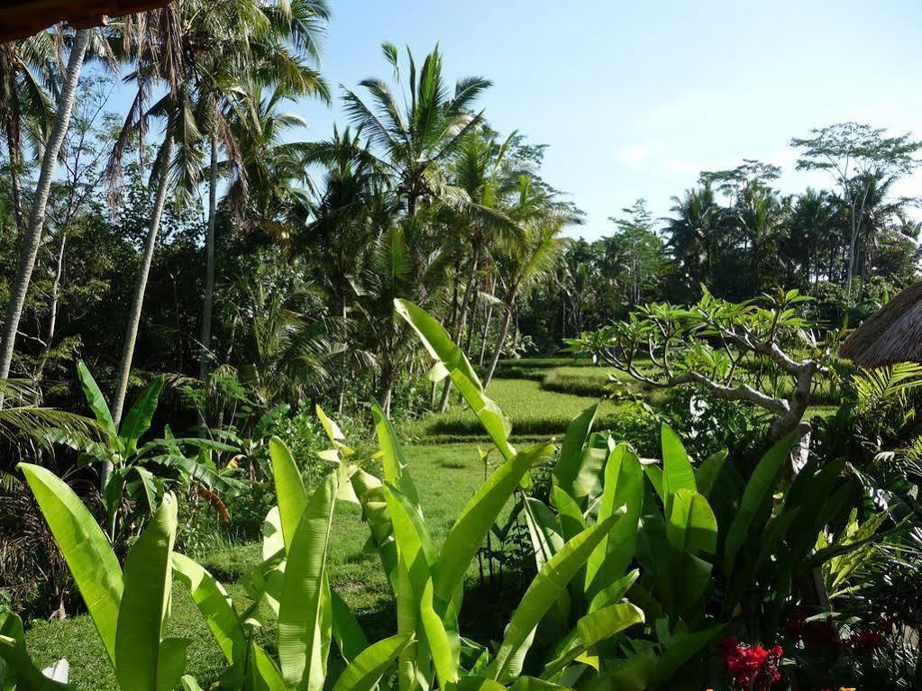 Umajati Retreat Villa Ubud Dış mekan fotoğraf